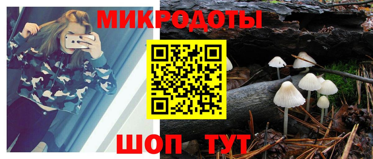 купить  сайты  Псилоцибиновые грибы Magic Shrooms  Вход с VPN  Галлюциногенные грибы Psilocybe  Жуковский 